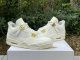 Authentic Air Jordan 4 WMNS Sail