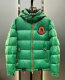 Moncler Down Jacket (81)