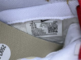 Authentic Nike Dunk Low Retro BTTYS