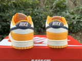 Authentic Nike Dunk Low “Wear and Tear”