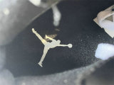Authentic Air Jordan 6 “Reverse Oreo”