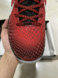 Nike Kobe 6 Shoes (4)