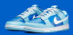 Nike Dunk SB Low (Ship in USA) (73)