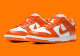 Nike Dunk SB Low (Ship in USA) (78)