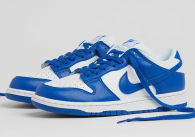 Nike Dunk SB Low (Ship in USA) (65)