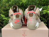 Authentic Travis Scott x Air Jordan 6
