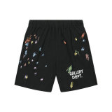 Gallery Dept Shorts S-XL (11)