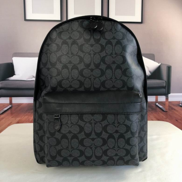 Coach Backpack  004