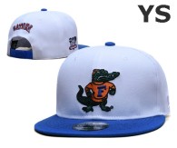 NCAA Florida Gators Snapback Hat (26)