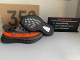 Authentic Y 350 V2 Carbel/Stegry/Solred