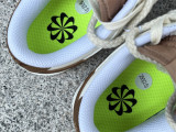 Authentic Nike Dunk Low Hemp/Sail