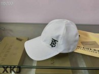 Burberry Snapback Hat AAA Quality （63）