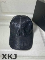 Dior Hat AAA Quality （33）