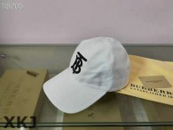 Burberry Snapback Hat AAA Quality （77）