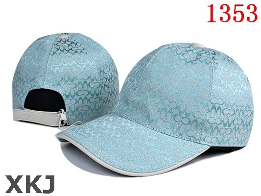 Coach Hat AAA Quality (8)