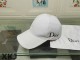 Dior Hat AAA Quality （17）