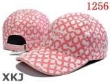 Coach Hat AAA Quality (12)