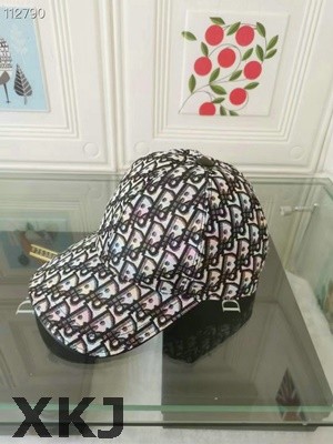Dior Hat AAA Quality （44）