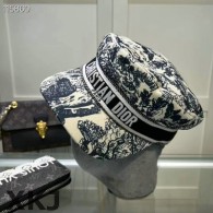 Dior Hat AAA Quality （41）