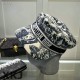 Dior Hat AAA Quality （41）