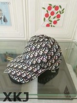 Dior Hat AAA Quality （25）