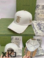 Burberry Snapback Hat AAA Quality （66）