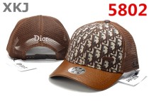 Dior Snapback Hat (1) Dior Snapback Hat (1)