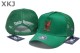 PsychoBunny Snapback Hat (5)