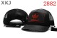 AD Snapback Hat (1)