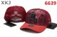 PP Snapback Hat (3)