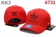 AD Snapback Hat (6)