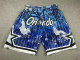NBA Shorts (116)