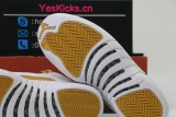 Authentic Air Jordan 12