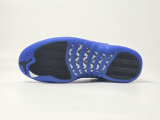 Authentic Air Jordan 12 “Blueberry”