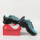 Nike Air Max Plus Shoes (224)