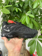 Nike Air Max Plus Shoes (304)