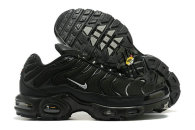 Nike Air Max Plus Shoes (211)