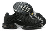 Nike Air Max Plus Shoes (243)
