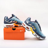 Nike Air Max Plus Shoes (214)