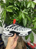 Nike Air Max Plus Shoes (312)
