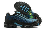 Nike Air Max Plus Shoes (155)