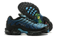 Nike Air Max Plus Shoes (155)