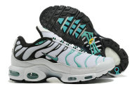 Nike Air Max Plus Shoes (244)