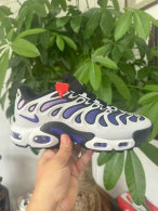 Nike Air Max Plus Shoes (303)