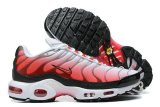 Nike Air Max Plus Shoes (221)