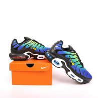 Nike Air Max Plus Shoes (285)