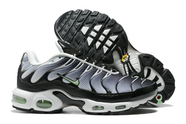 Nike Air Max Plus Shoes (232)