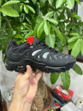 Nike Air Max Plus Shoes (309)