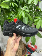 Nike Air Max Plus Shoes (309)