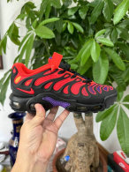 Nike Air Max Plus Shoes (311)